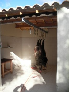 Salle de découpe au cabanon des chasseurs