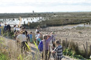 visite de manade lors de la croisière fluviale en Camargue